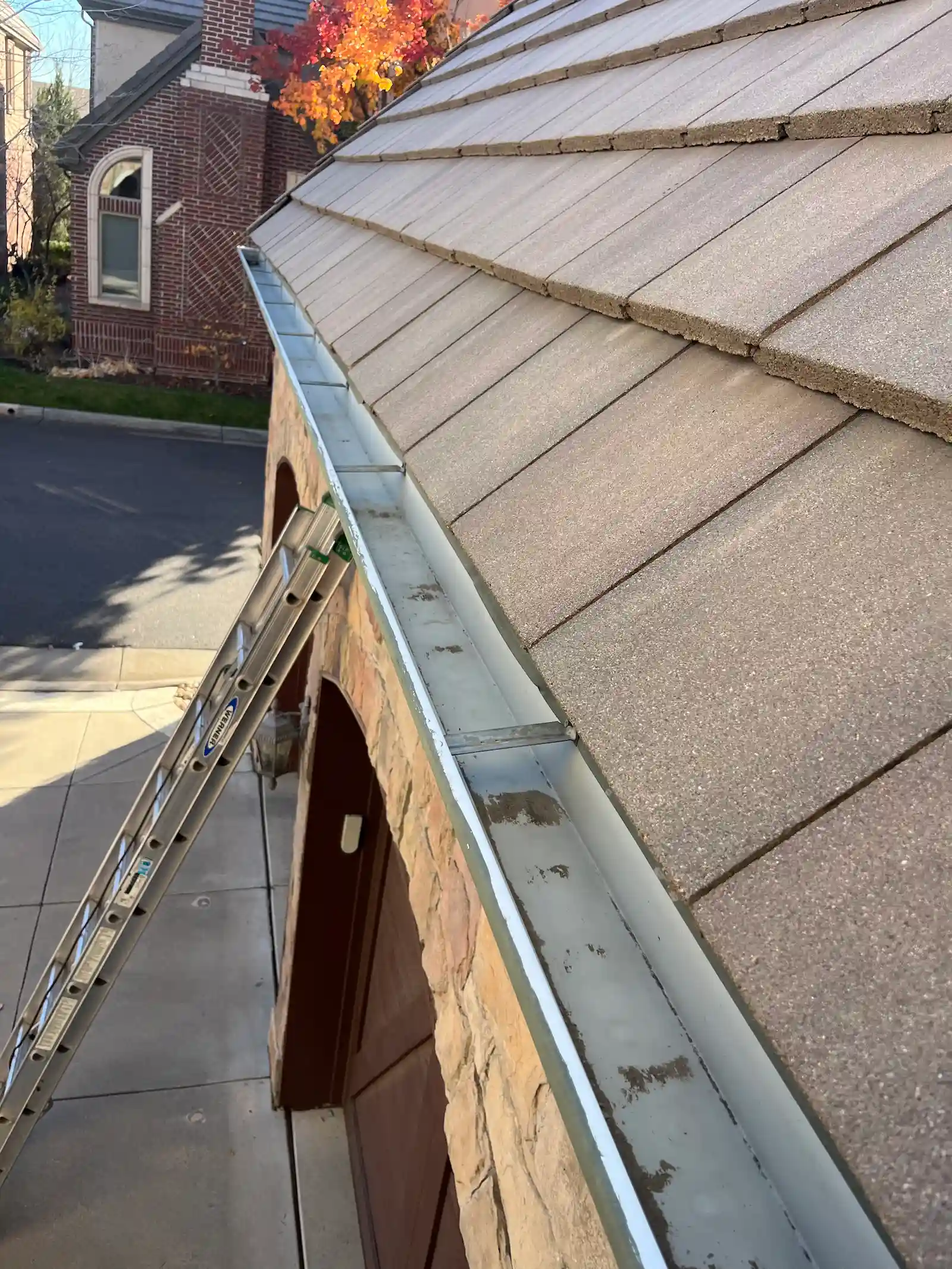 Professional gutter cleaning in Denver